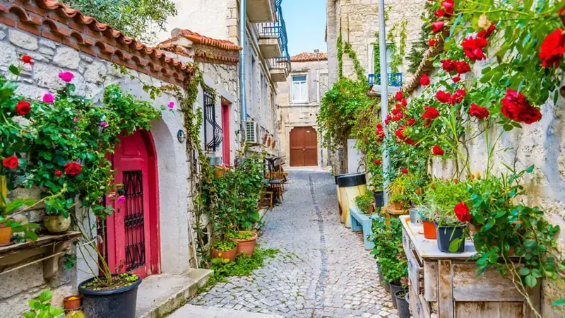 A lane in Alaçatı, stone houses hung with climbing roses